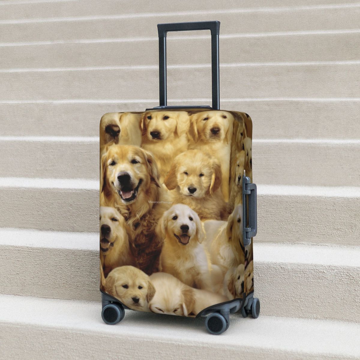 Travel Accessories To 3D Print - Golden Dog กระเป๋าเดินทางสัตว์ 3d พิมพ์สนุก Cruise