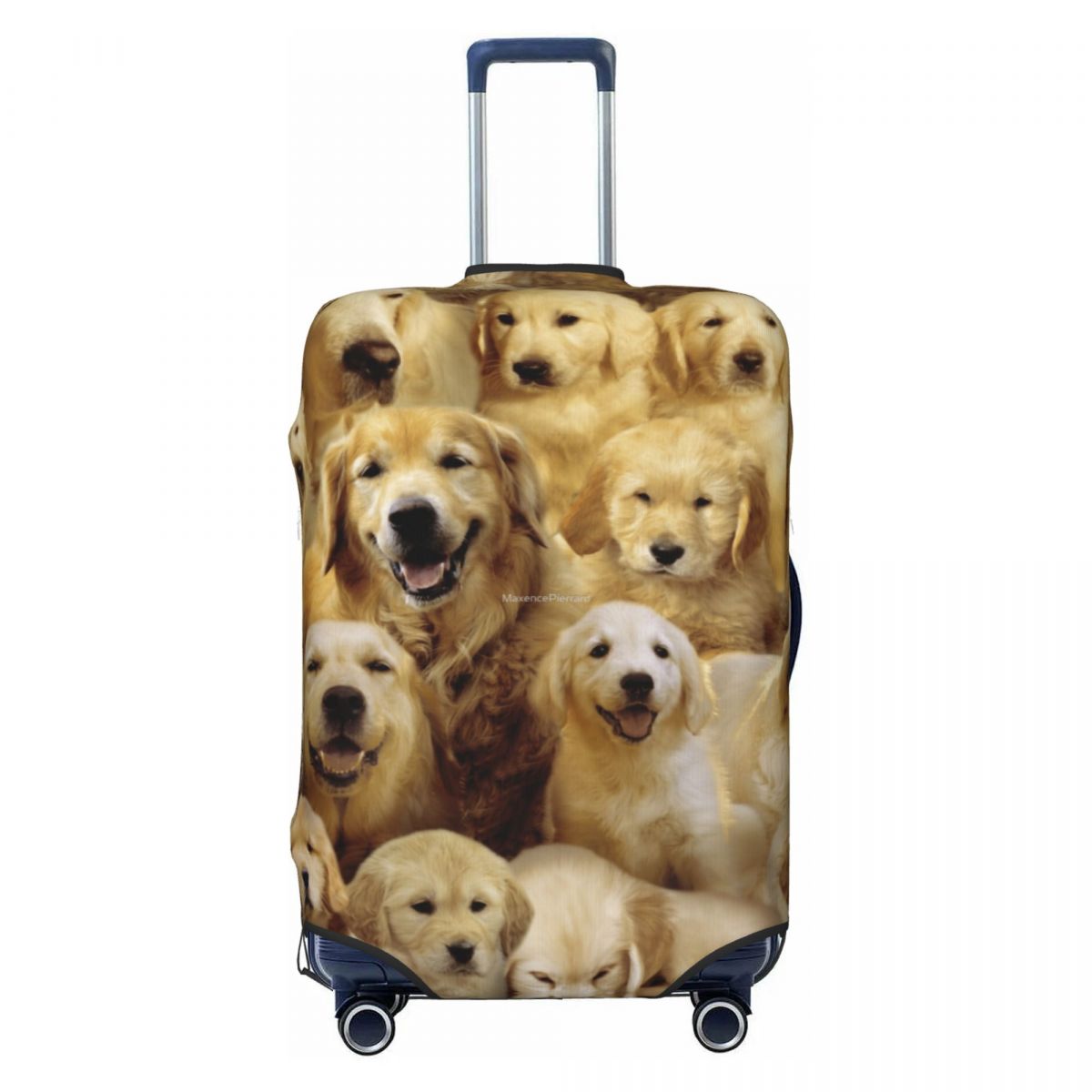 Golden Dog กระเป๋าเดินทางสัตว์ - Travel Accessories To 3D Print บทวิจารณ์และราคา