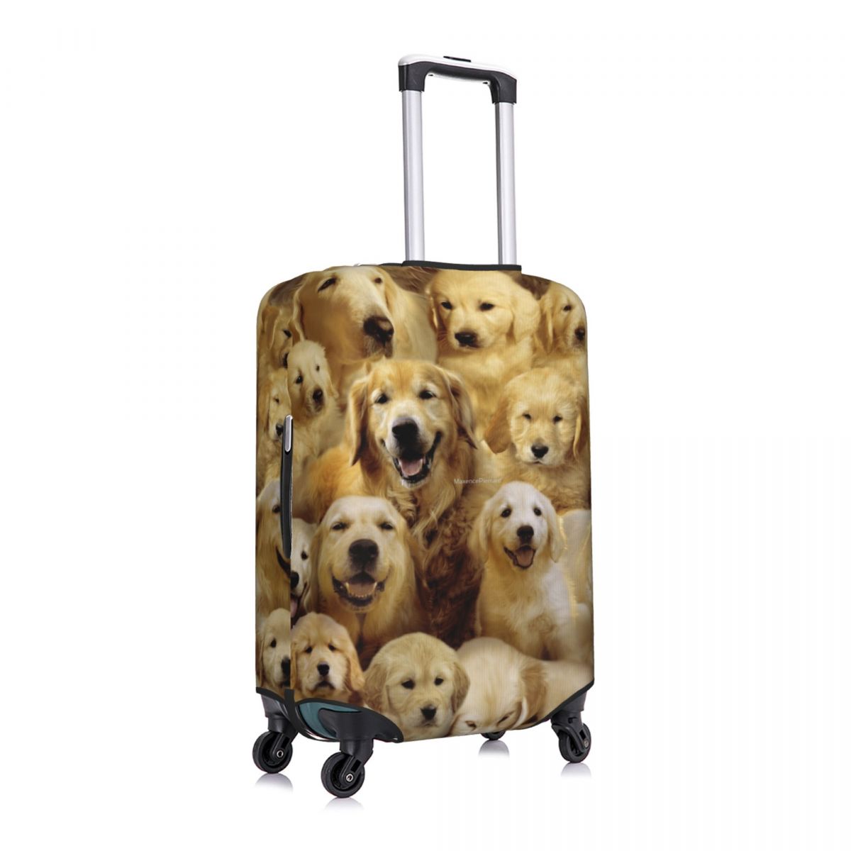 Golden Dog กระเป๋าเดินทางสัตว์ - Travel Accessories To 3D Print บทวิจารณ์และราคา